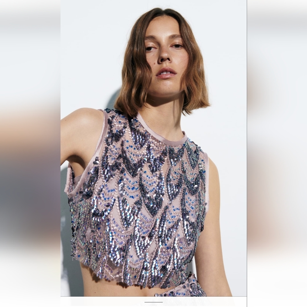 Zara Beautiful Sequin Top